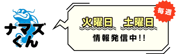 毎週火曜日・土曜日情報更新中！
