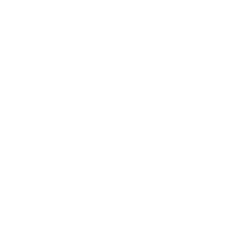 問題を解決する力